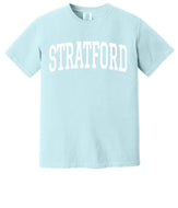 Chambray Comfort Colors Shirt